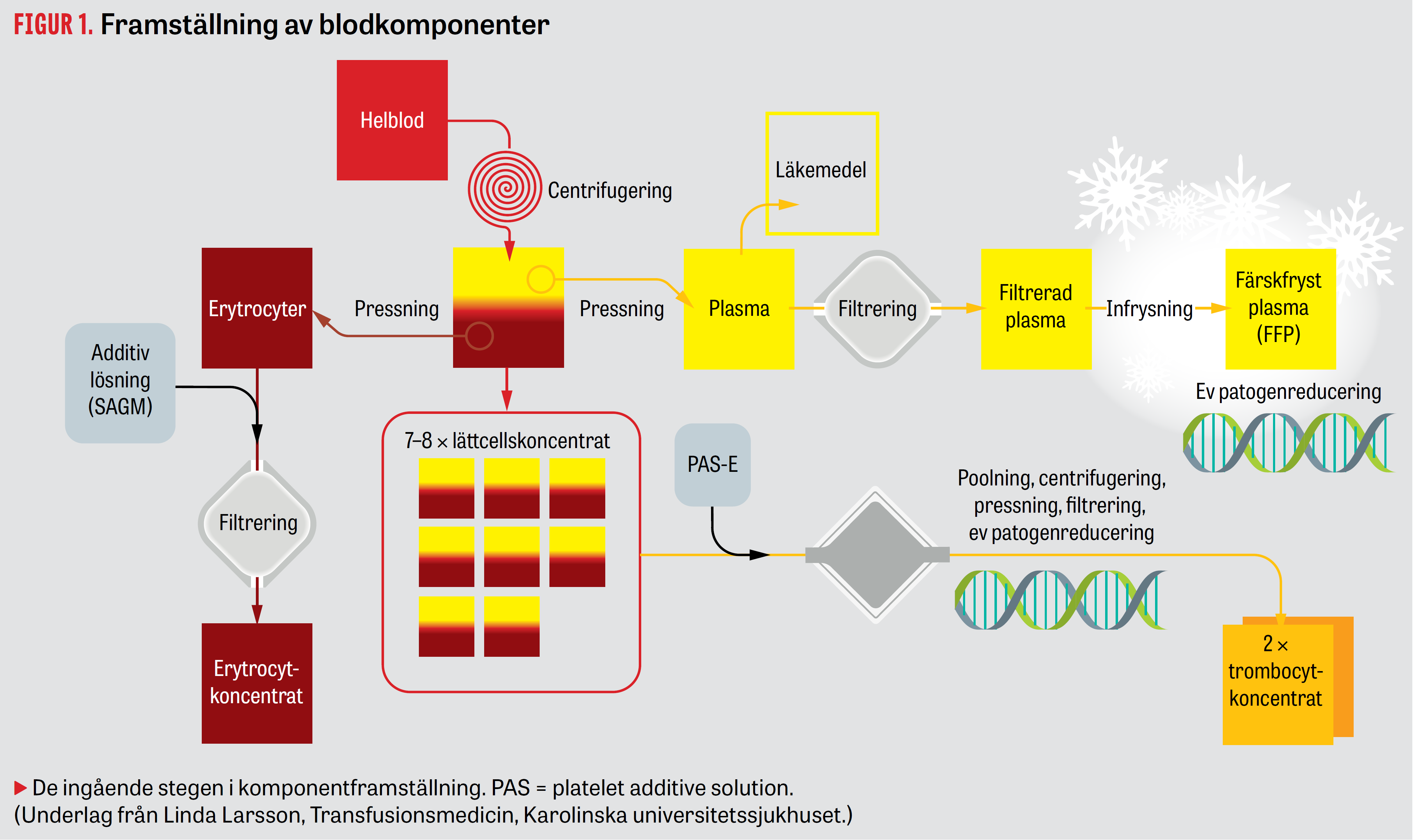 Blood Components English - The Anesthesia Guide