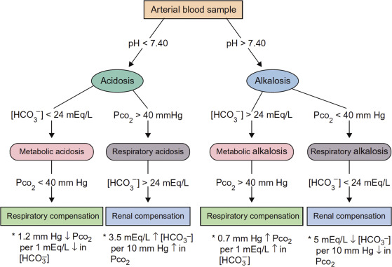 Acid-Base Disorders – Physicochemical Changes and Mechanisms - The ...
