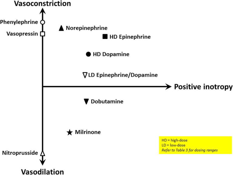 Iv Inotropes Circulatory Failure and Inotropic Drugs – Diagnosis and Treatment - The ...