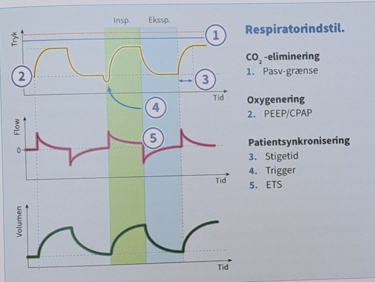 Mechanical Ventilation in Acute Respiratory Failure – Guidelines - The ...