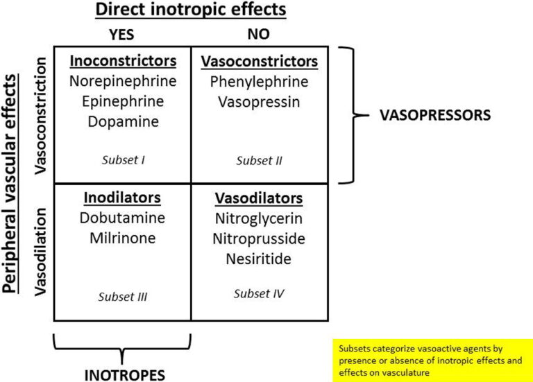 Inotropic Iv Circulatory Failure and Inotropic Drugs – Diagnosis and Treatment - The ...